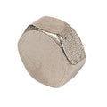 3/4" Blanking Cap for Manifold