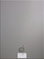 Electric Mirror Demister